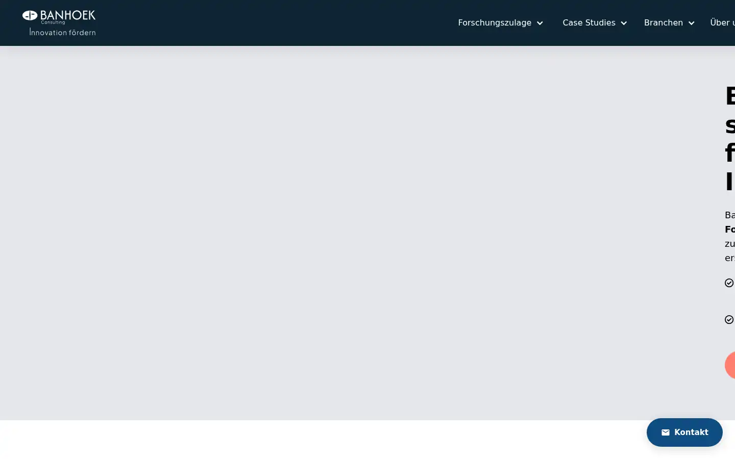 Screenshot of banhoek.io