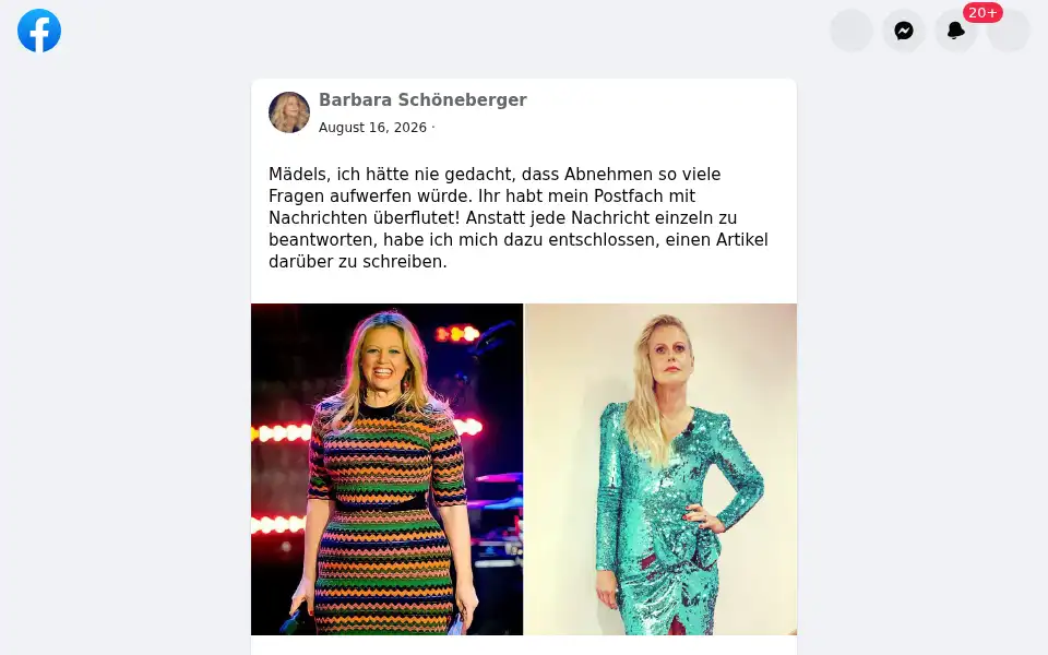 Screenshot of barbaraschonebergerdiat.the-livinglife.info
