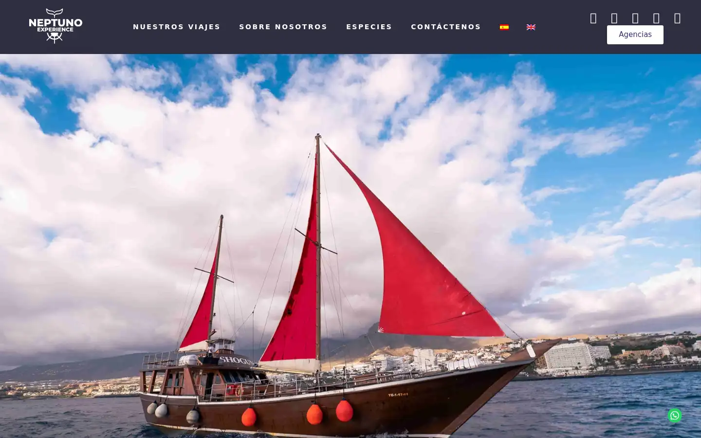 Screenshot of barcostenerife.com