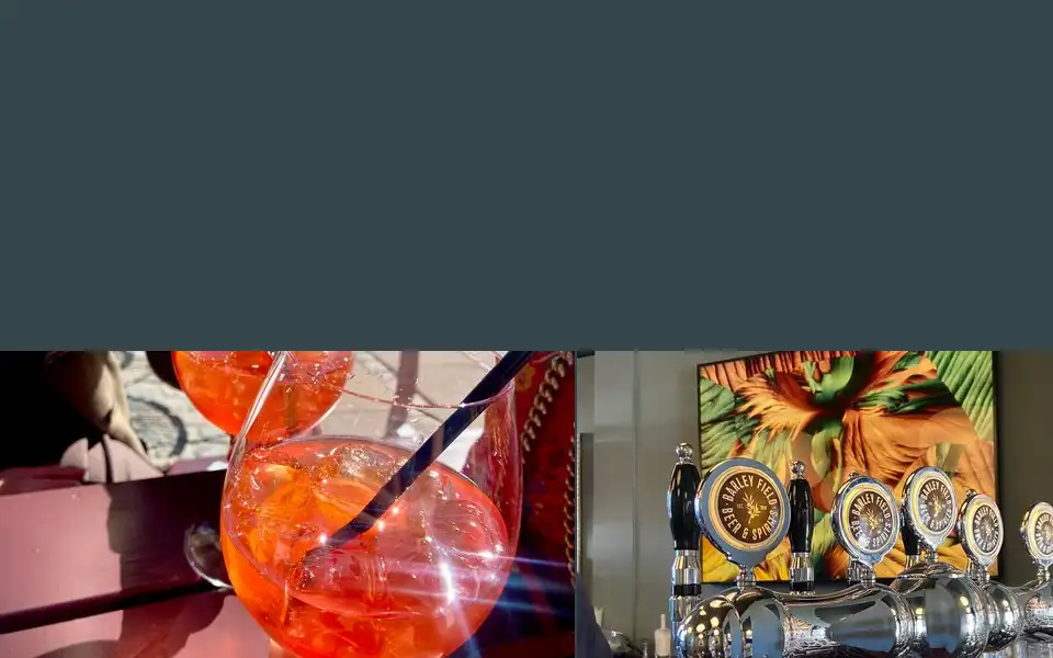 Screenshot of barleybar.dk