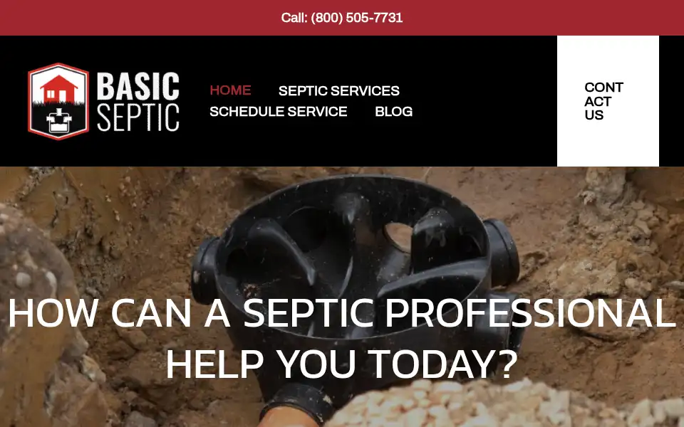 Screenshot of basicseptic.com