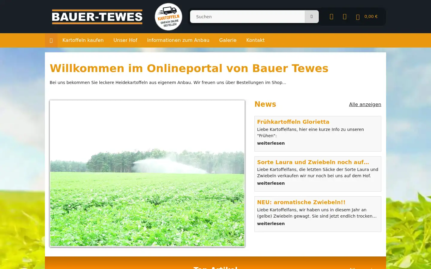 Screenshot of bauer-tewes.de
