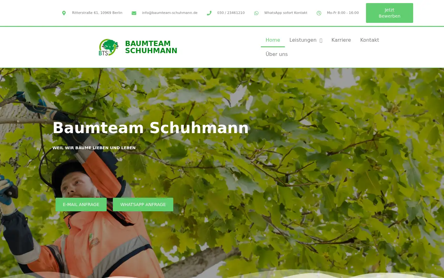 Screenshot of baumteam-schuhmann.de