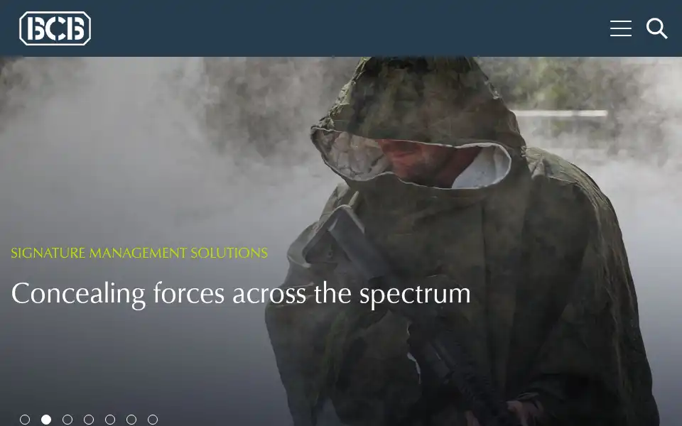 Screenshot of bcbin.com