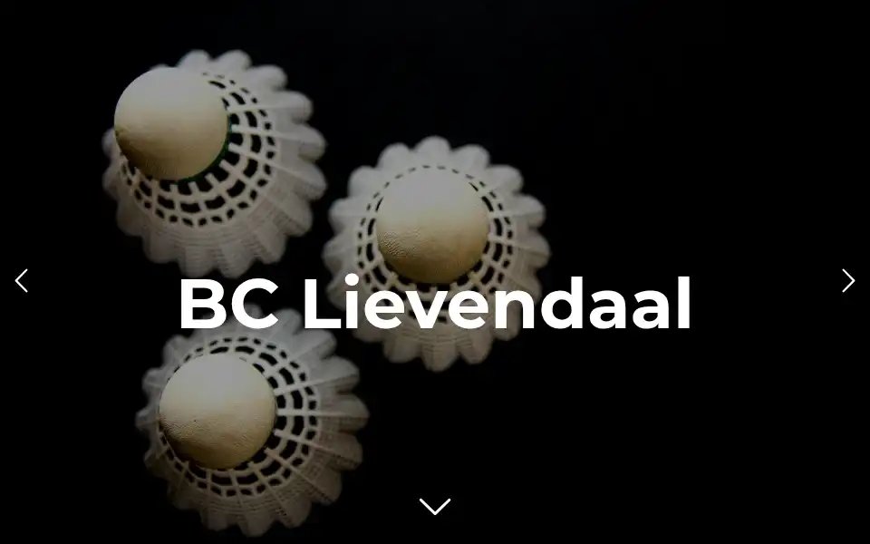 Screenshot of bclievendaal.nl