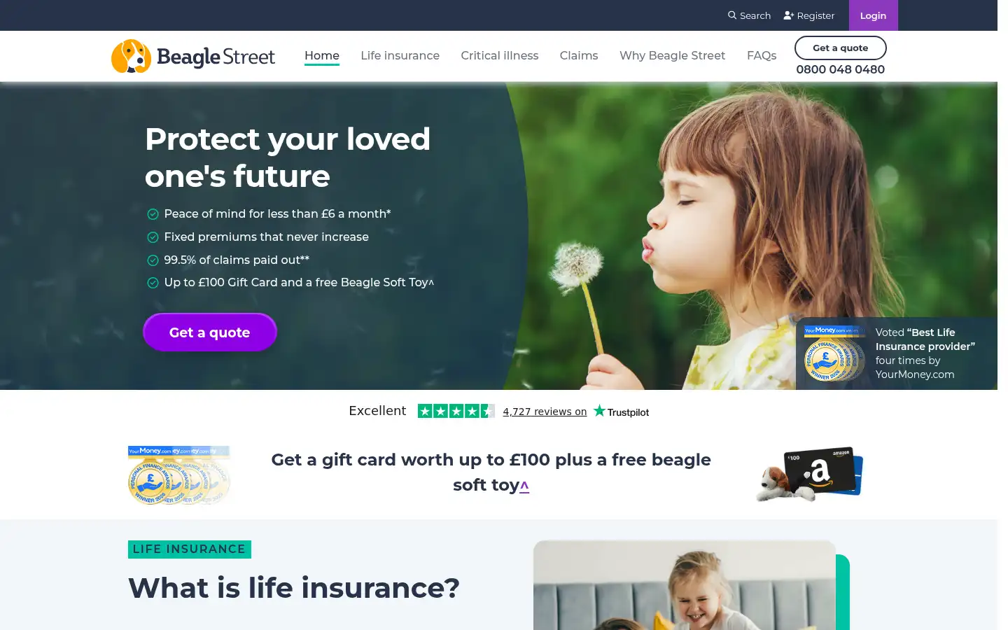 Screenshot of beaglestreet.com