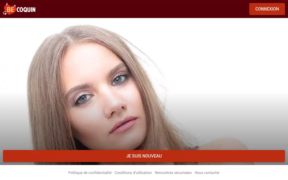 Screenshot of becoquin.fr