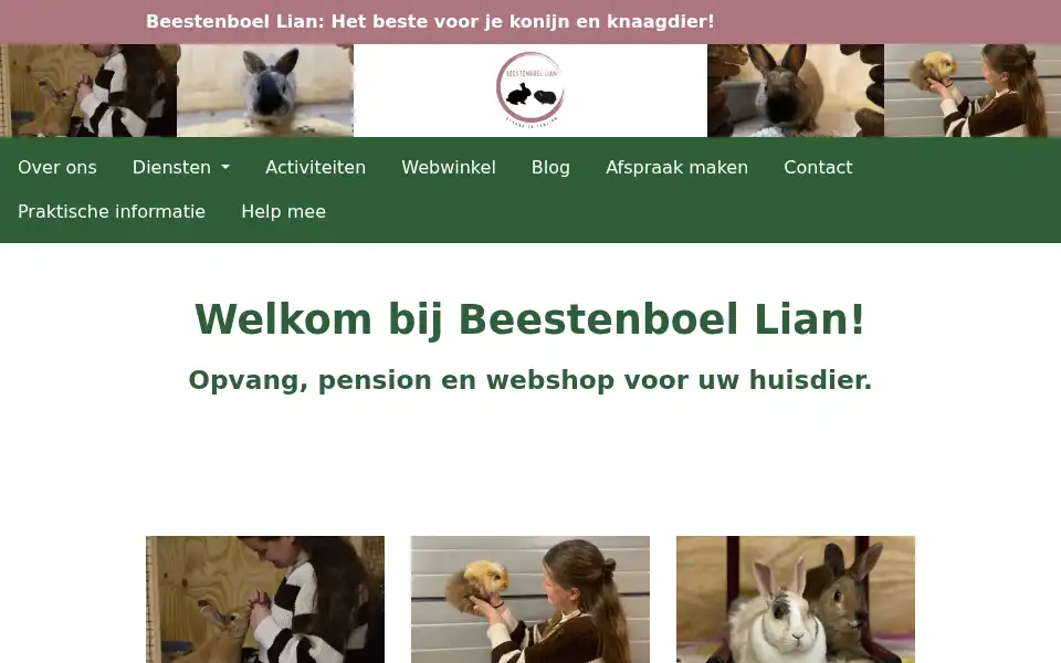Screenshot of beestenboellian.nl