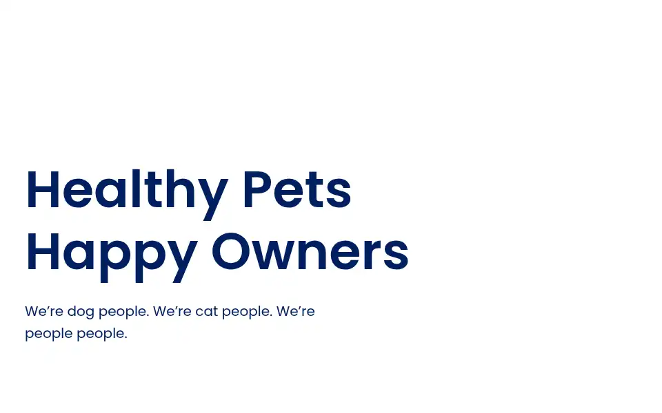 Screenshot of belfastvets.com