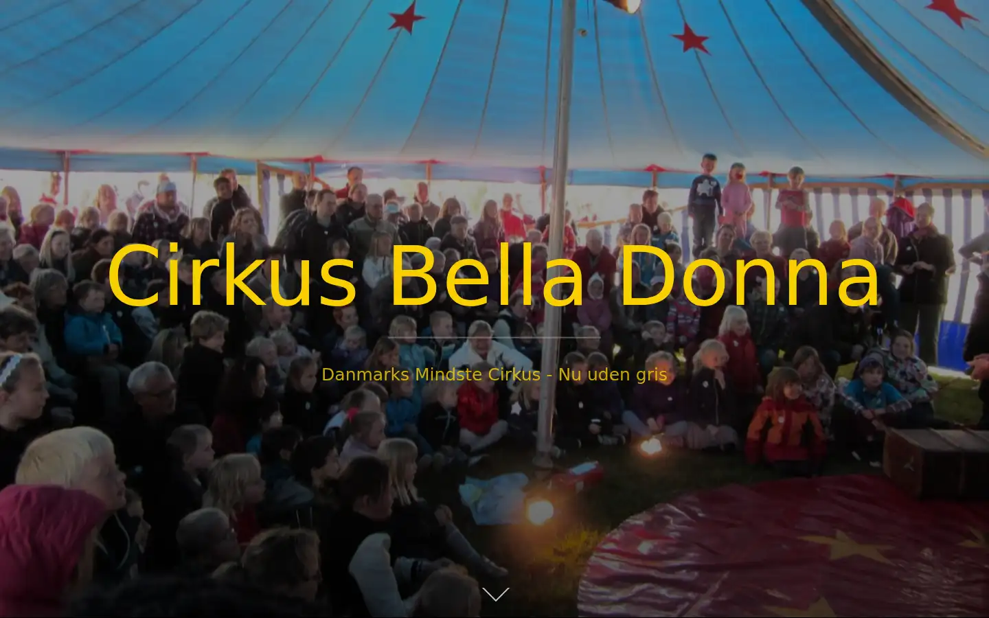 Screenshot of bella-donna.dk