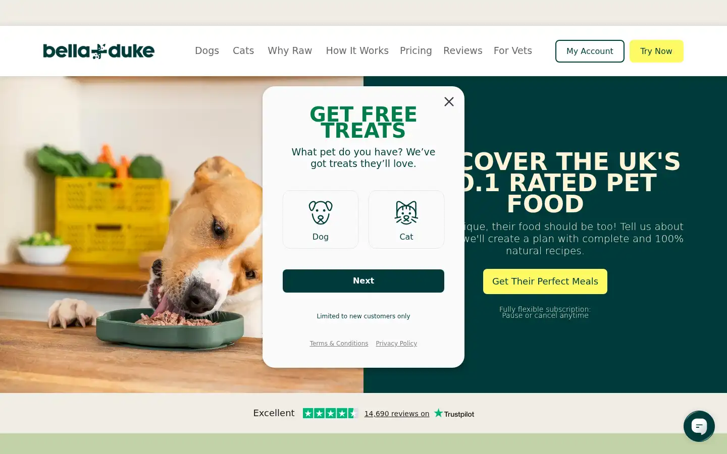 Screenshot of bellaandduke.com