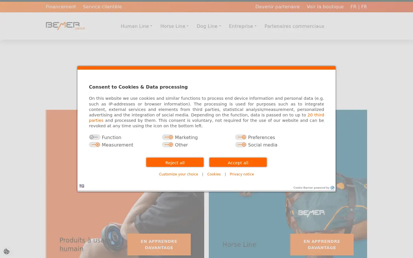 Screenshot of bemergroup.com