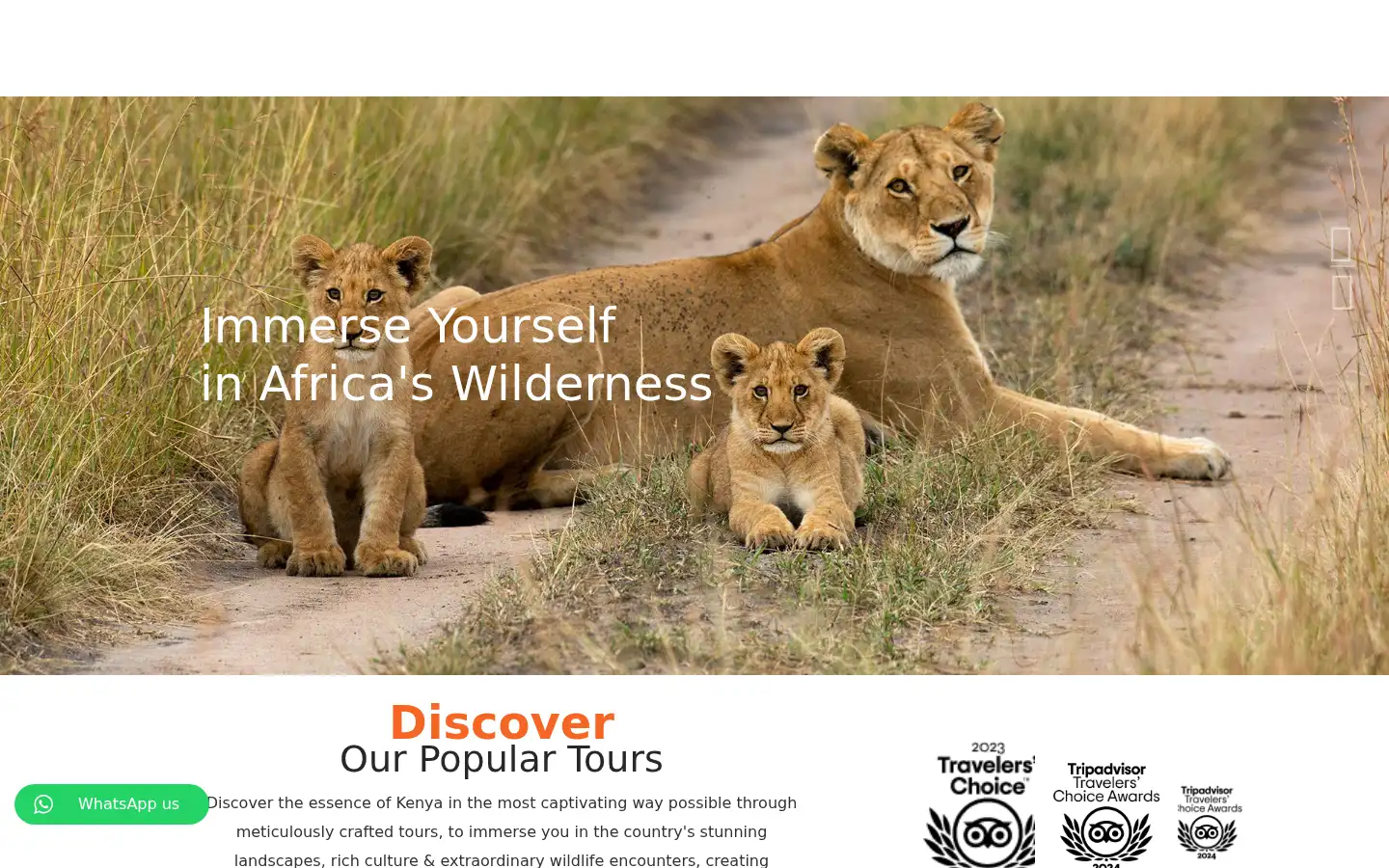 Screenshot of benciaafricaadventure.com