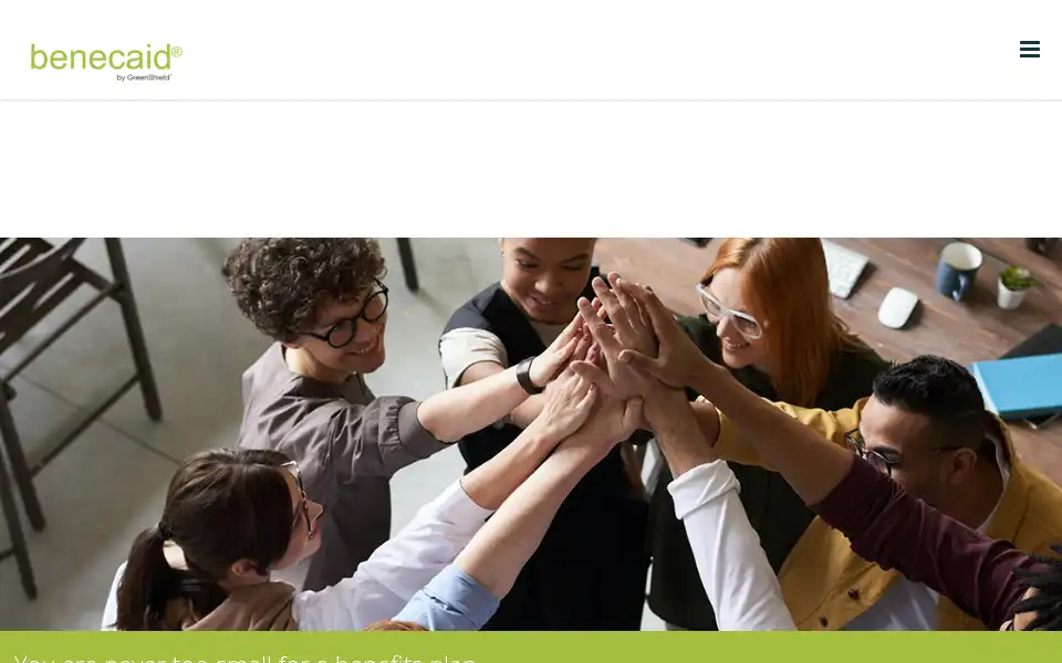 Screenshot of benecaid.com
