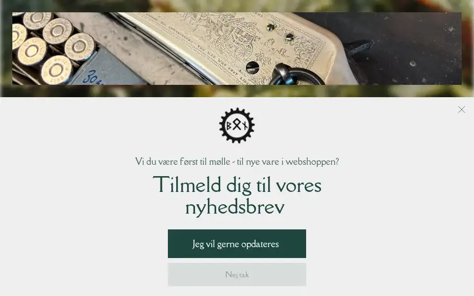 Screenshot of benzon.as
