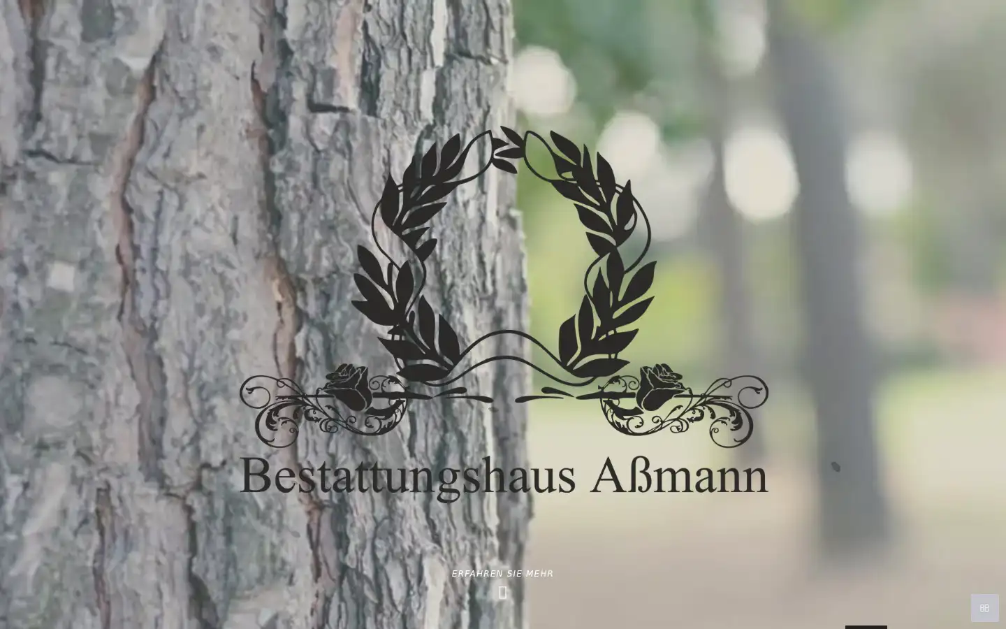 Screenshot of bestattungshaus-assmann.de