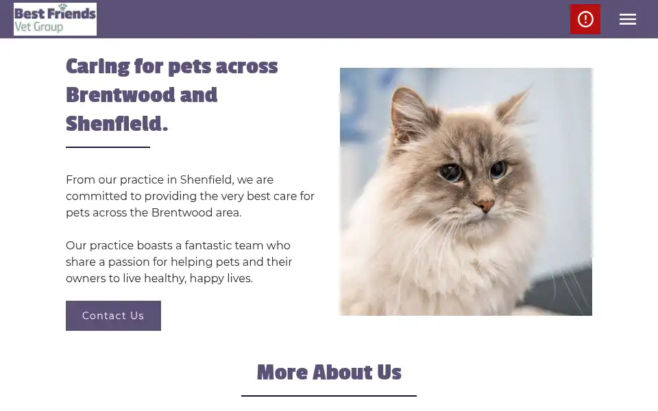 Screenshot of bestfriendsgroup.com