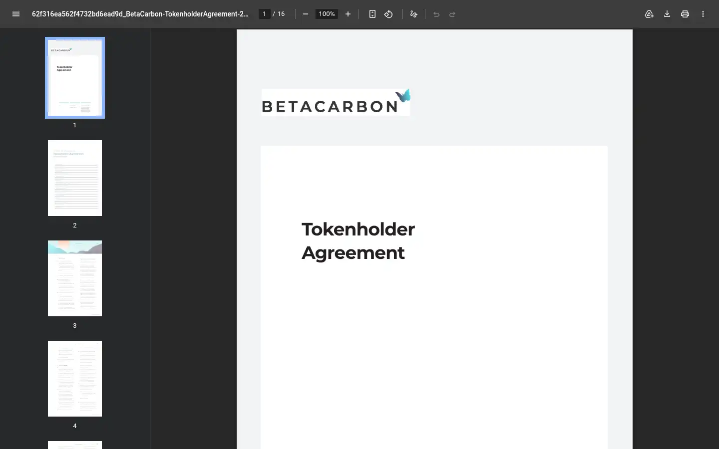 Screenshot of betacarbon.com