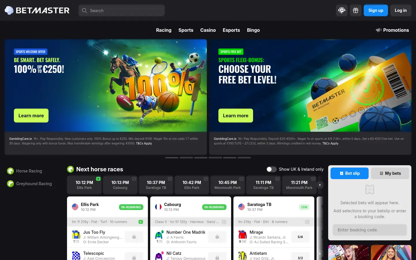 Screenshot of betmaster.ie
