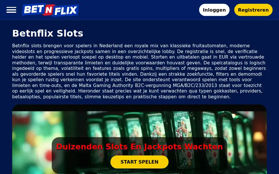 Screenshot of betnflix.co.nl