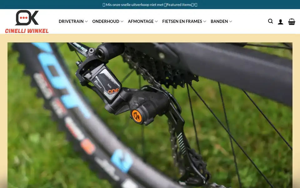 Screenshot of bicycledrivesystemnl.com