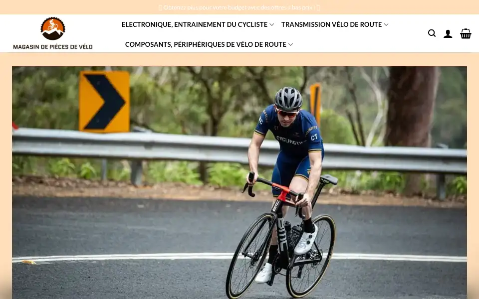 Screenshot of bicyclegearlever-fr.com