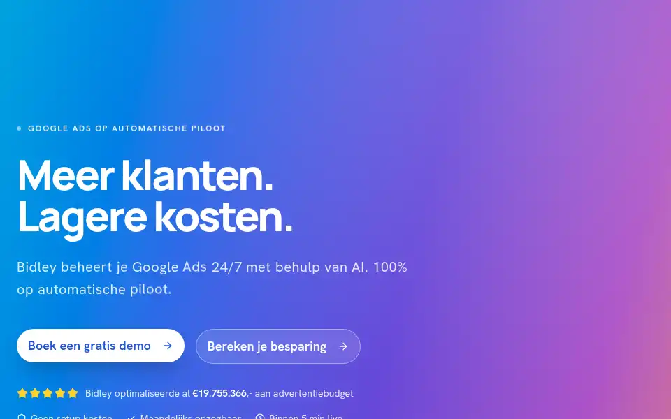 Screenshot of bidley.ai