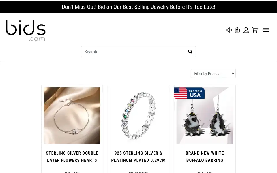 Screenshot of bids.com