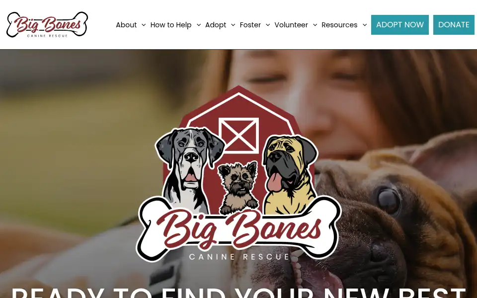 Screenshot of bigbonescaninerescue.com
