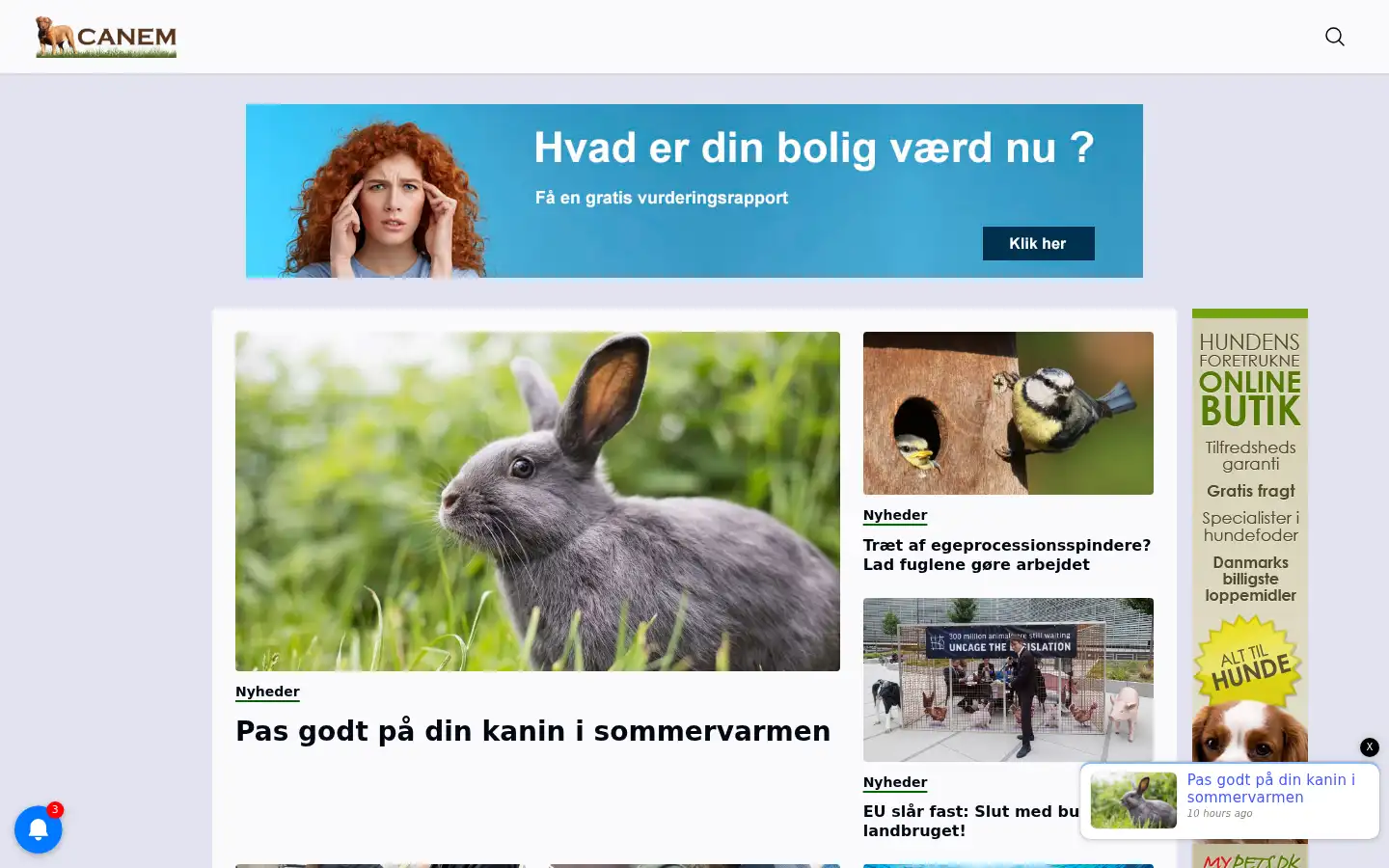Screenshot of bigbullies.dk