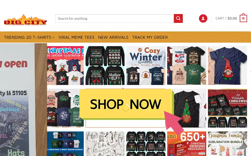 Screenshot of bigcityfashion.com