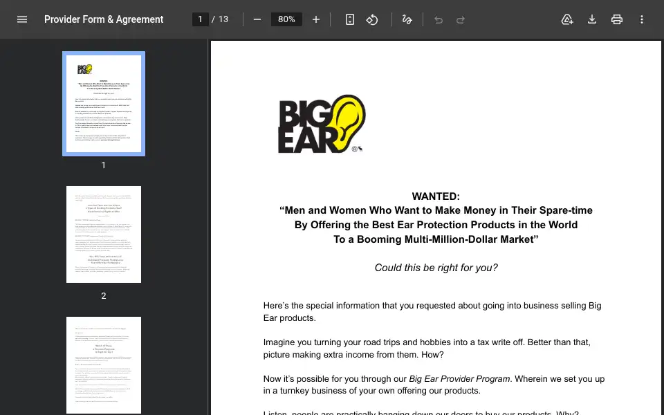 Screenshot of bigearinc.com
