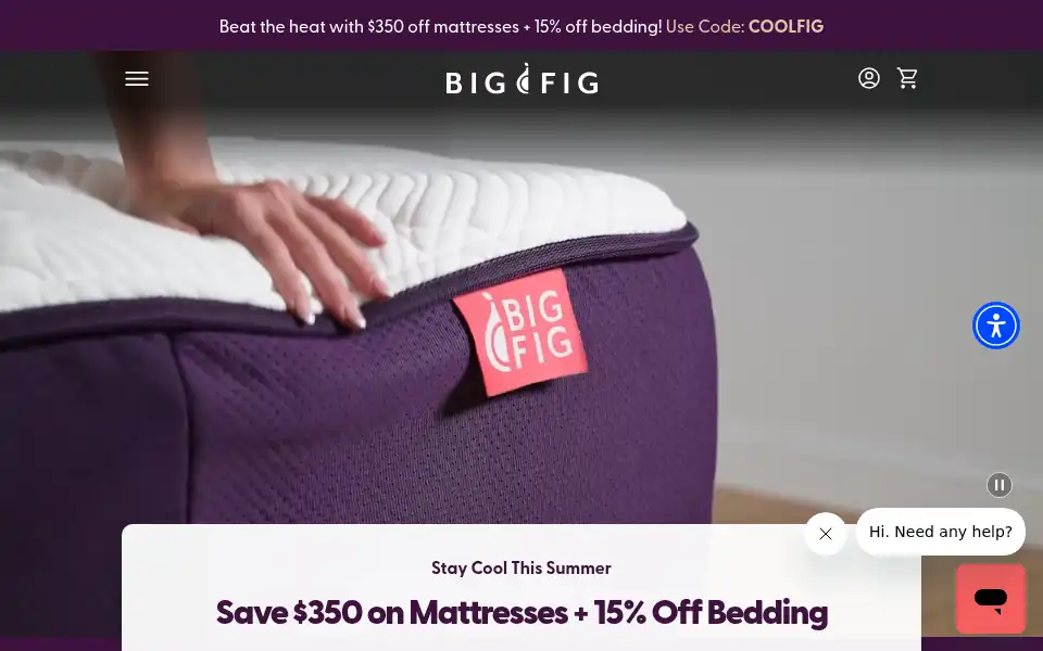 Screenshot of bigfigmattress.com