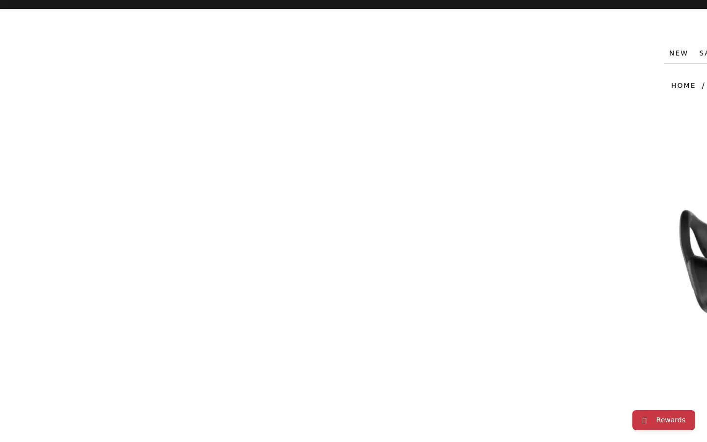 Screenshot of bikebug.com