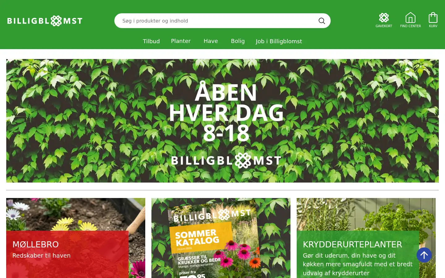 Screenshot of billigblomst.dk