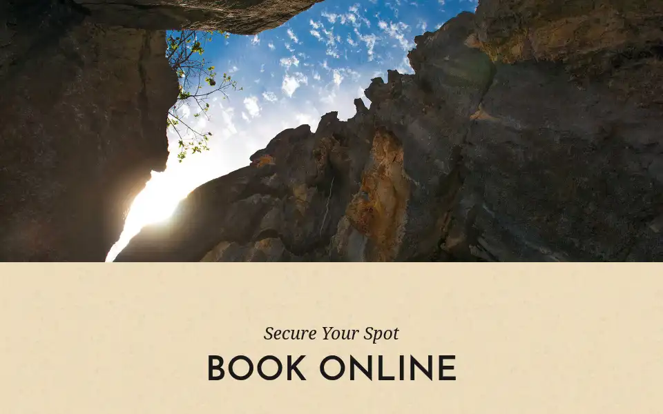 Screenshot of billytea.com.au