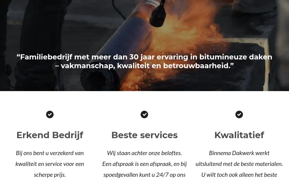 Screenshot of binnemadakwerk.nl
