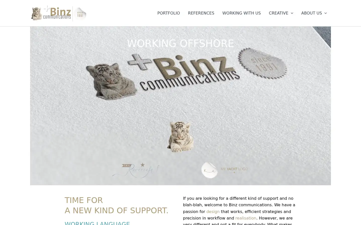 Screenshot of binzcom.com