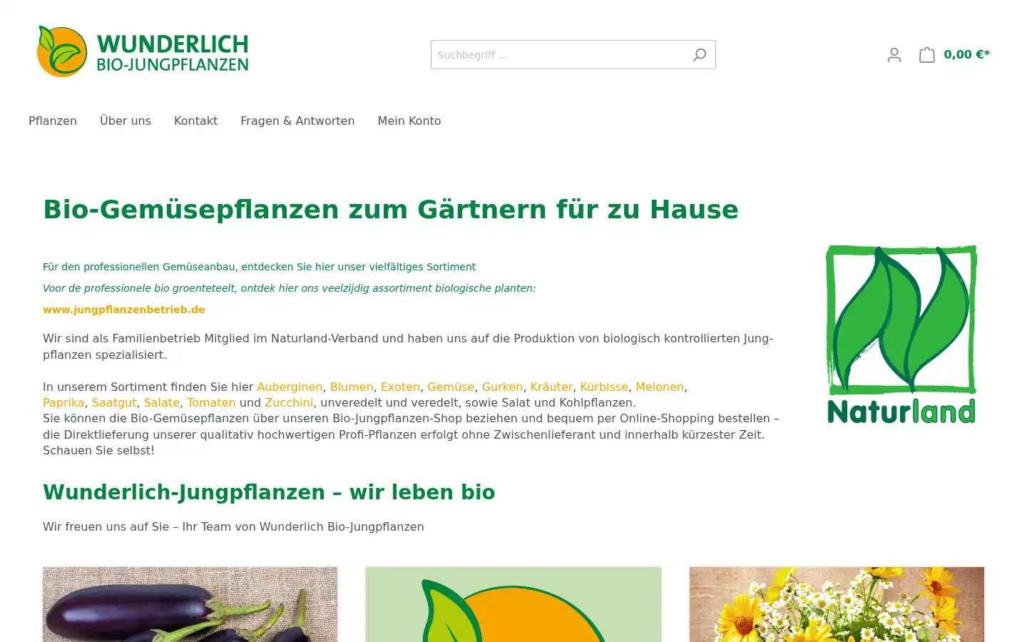 Screenshot of bio-jungpflanzen.com