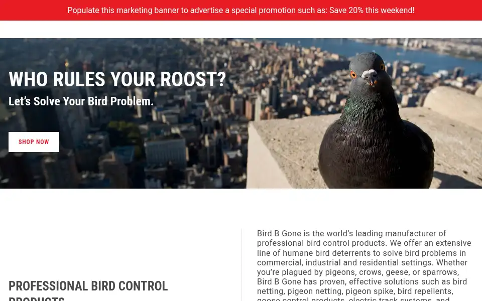 Screenshot of birdbgone.com