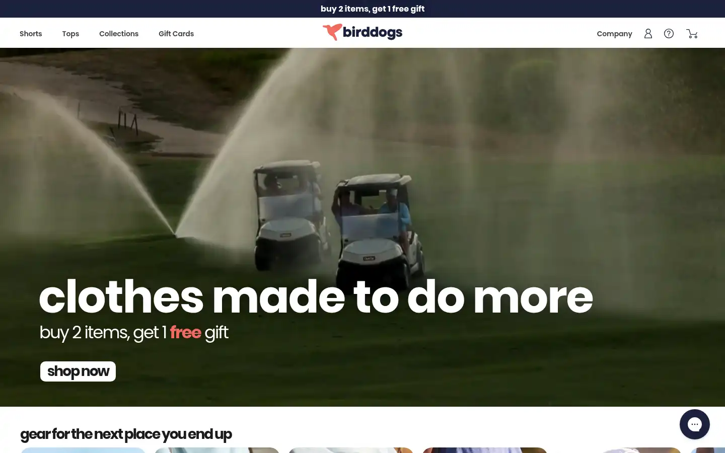 Screenshot of birddogs.com