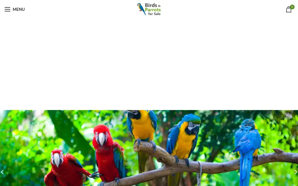 Screenshot of birdsandparrotsforsale.com