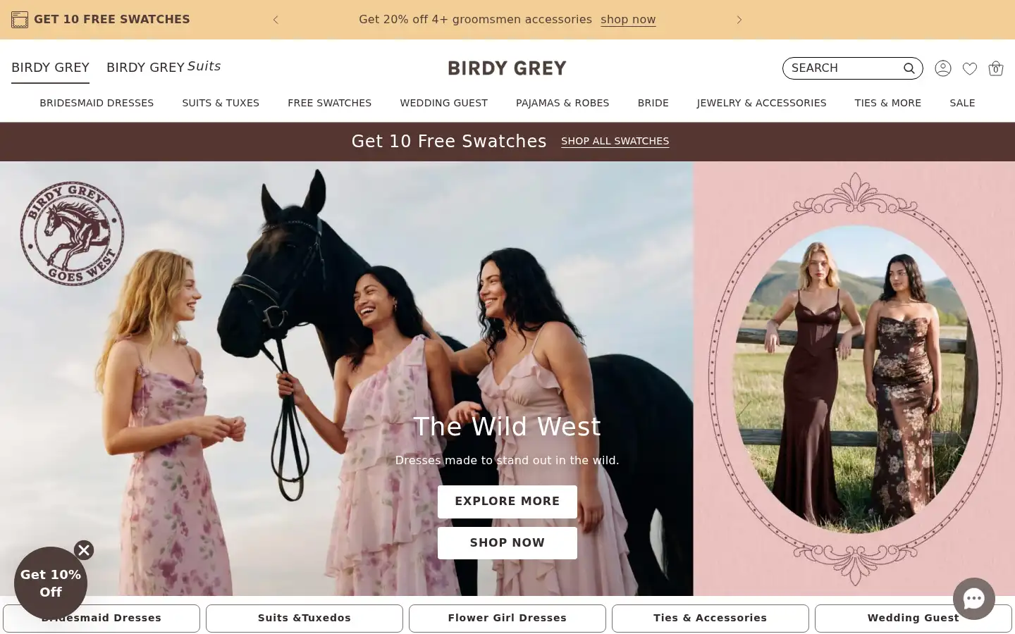 Screenshot of birdygrey.com