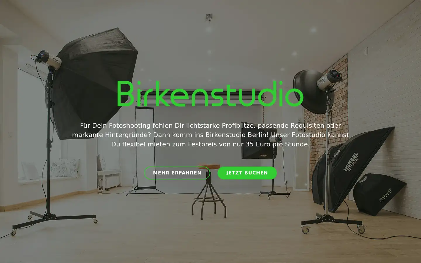 Screenshot of birkenstudio.de