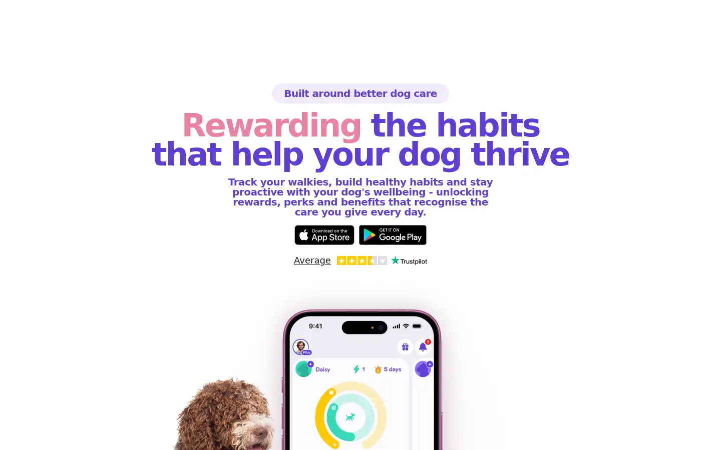 Screenshot of biscuitpetcare.com
