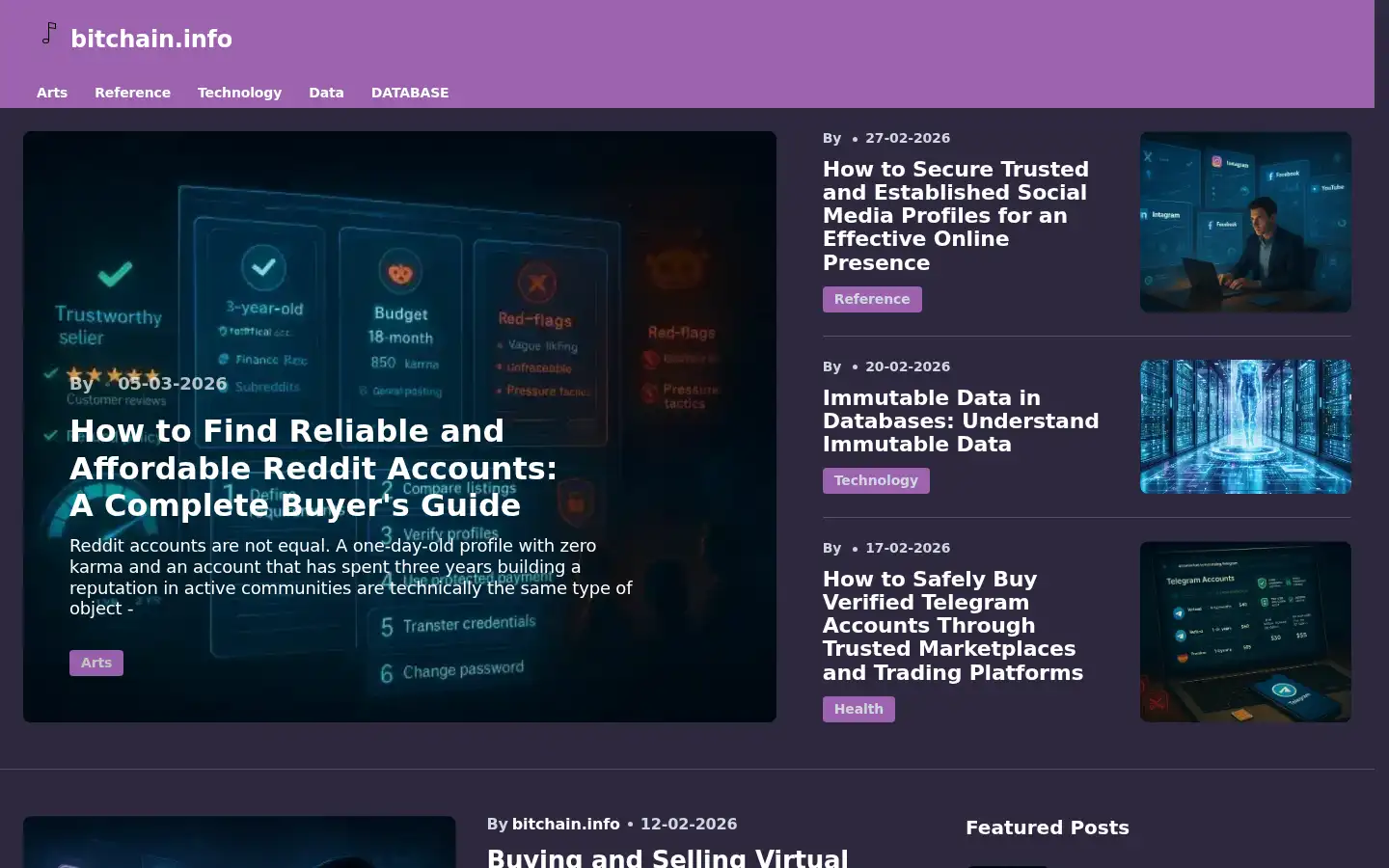 Screenshot of bitchain.info
