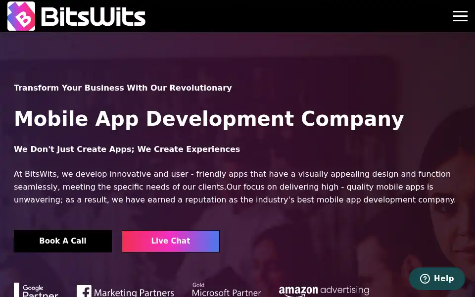 Screenshot of bitswits.com