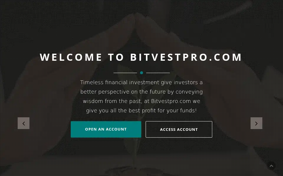 Screenshot of bitvestpro.com