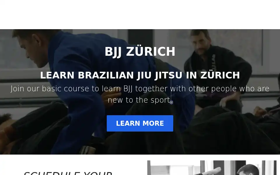Screenshot of bjjlabzurich.ch