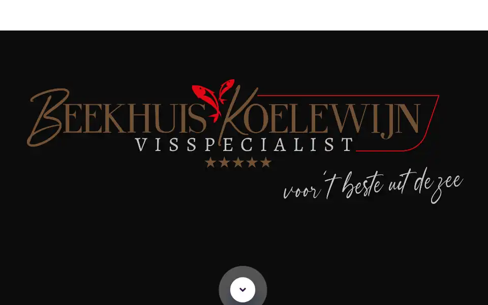 Screenshot of bk-vis.nl